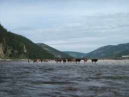 ���� ���, �����, 26 ���� 2010