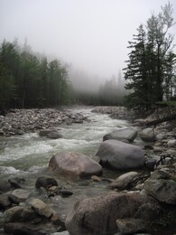 �����, 27 ���� 2010