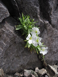 �����, 27 ���� 2010