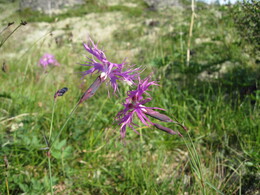 �����, 27 ���� 2010