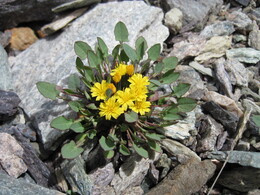 �����, 28 ���� 2010