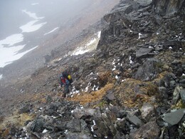 �����, 29 ���� 2010