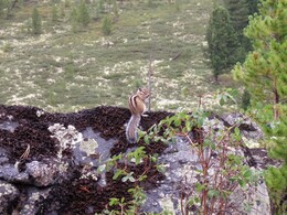 ��������, �����, 30 ���� 2010