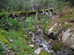 �����, 1 ������� 2010