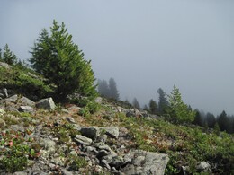 �����, 6 ������� 2010