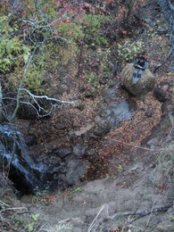 �����������, 17 ������� 2010