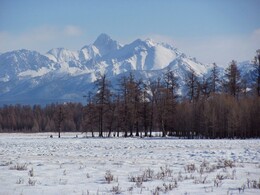 ���������� ���������, ��������, 25 ������� 2011