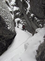 ��������, 1 ����� 2011