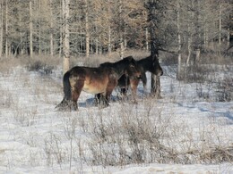 ������ � ���������� ���������, ��������, 2 ����� 2011