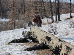 ��������, 4 ����� 2011