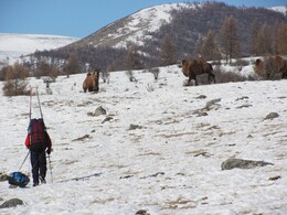 ��������, ��������, 5 ����� 2011