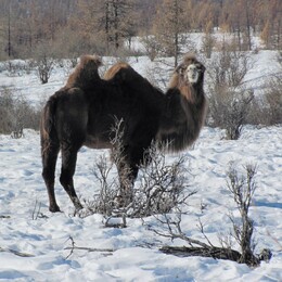 �������, ��������, 5 ����� 2011