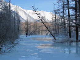 ������, ��������, 8 ����� 2011