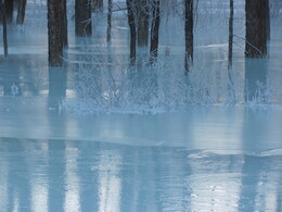 ������, ��������, 8 ����� 2011