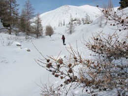 ��������, 8 ����� 2011