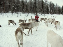 �����, ��������, 11 ����� 2011