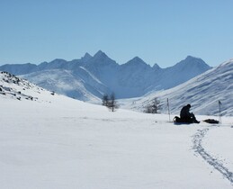 ��������, 14 ����� 2011