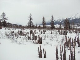 ��������, 16 ����� 2011