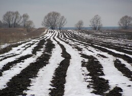 �����������, 10 ������ 2011