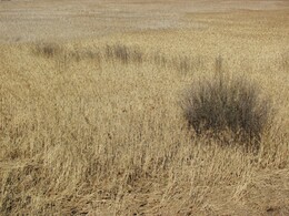 �����������, 16 ������ 2011