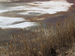 �����������, 16 ������ 2011