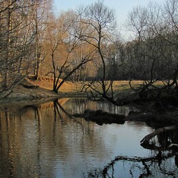 �����������, 23 ������ 2011