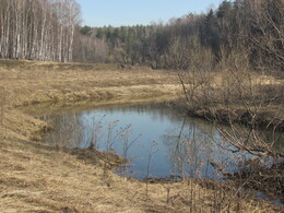 ���� ���������, �����������, 24 ������ 2011