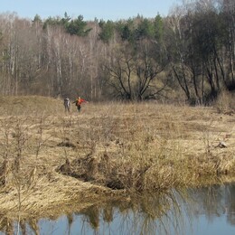 ���� ���������, �����������, 24 ������ 2011