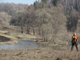 ���� ���������, �����������, 24 ������ 2011