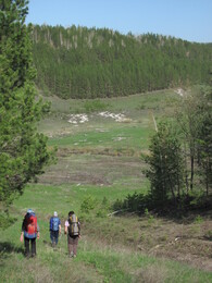 ����������� �������, 7 ��� 2011