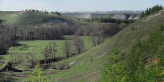 ����������� �������, 7 ��� 2011