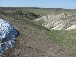 ����������� �������, 8 ��� 2011