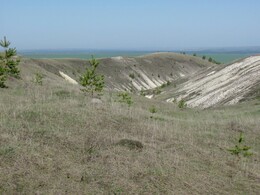 ����������� �������, 8 ��� 2011