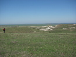 ����������� �������, 8 ��� 2011