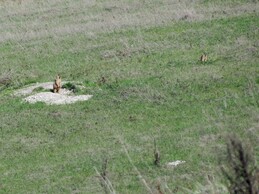 �����, ����������� �������, 8 ��� 2011