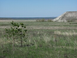 ����������� �������, 8 ��� 2011