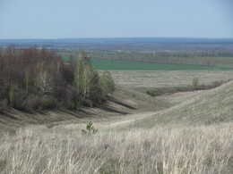 ����������� �������, 8 ��� 2011