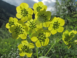 �����, 9 ���� 2011