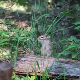 ��������, �����, 14 ���� 2011