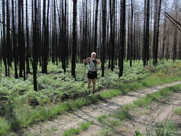 ������� ���, �����������, 13 ������� 2011