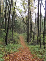 �����������, 1 ������� 2011