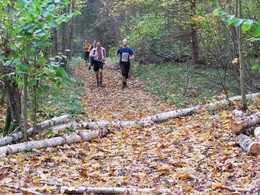 �����������, 8 ������� 2011