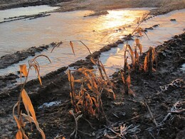 �����������, 6 ������ 2011