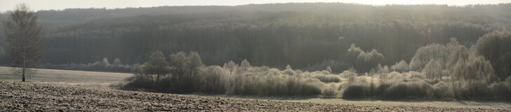 �����������, 6 ������ 2011