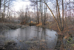 �����������, 6 ������ 2011