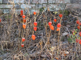 �����������, 6 ������ 2011