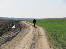 �����������, 6 ������ 2011