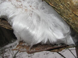 ������� ������, �����������, 18 ������� 2011