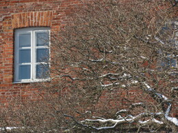 �����������, ���������, 26 ������� 2012