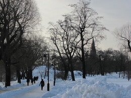 ���������, 9 ����� 2012